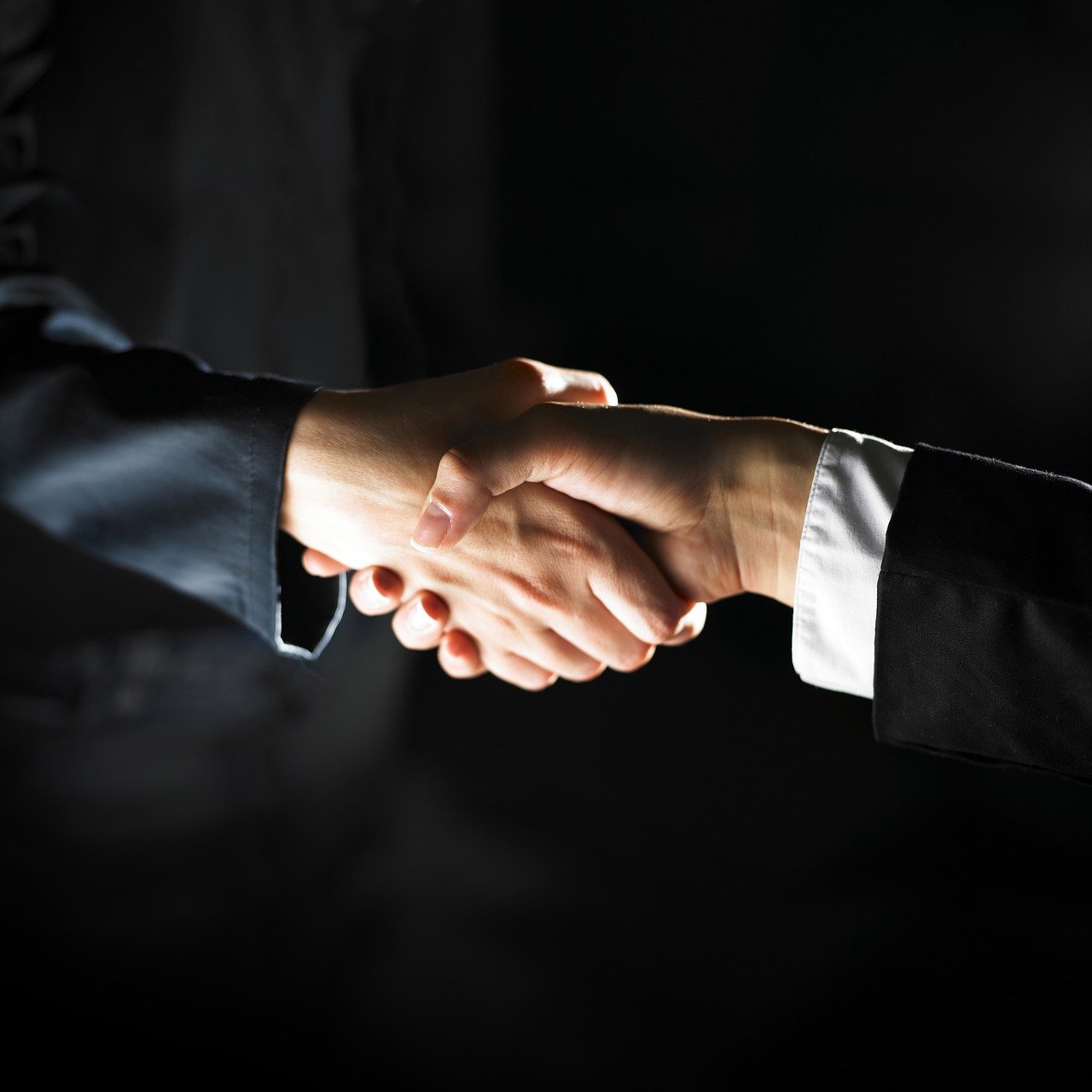 business, cooperation, handshake-3298472.jpg